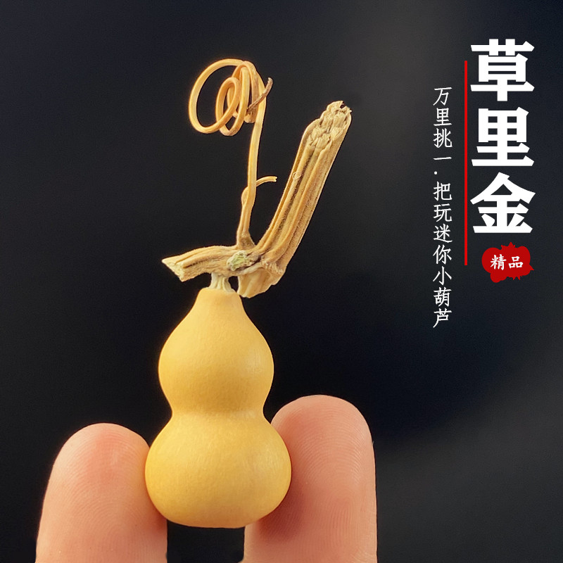 Natural Pear Shape Mini Dried  - Vintage Collectible Christmas Ornaments 评论和价格